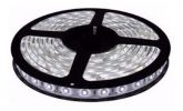 Fita de led 5M 5050 Branca Foyu TB-5024