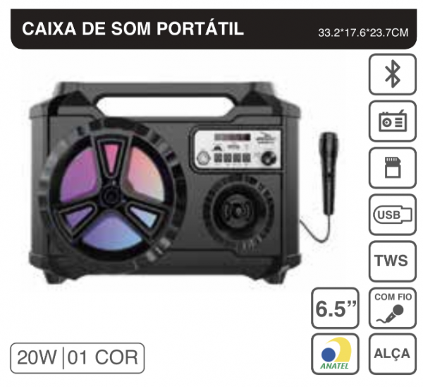 Caixa de som Grande 20W Com Microfone,LED Colorida GRASEP D-BH6114